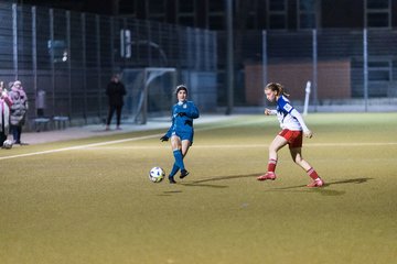 Bild 225 - F SC Alstertal-Langenhorn - Hamburger SV 3 : Ergebnis: 2:2
